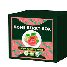 Home Berry Box - forum - recenzije - iskustva - upotreba